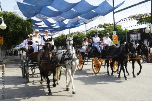 [ASO] Cuota Miembro de Asociación