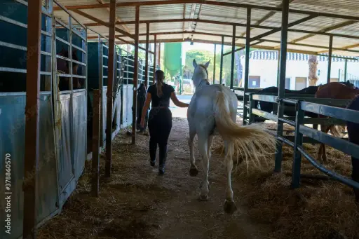 [CPRO] Cuota Profesionales